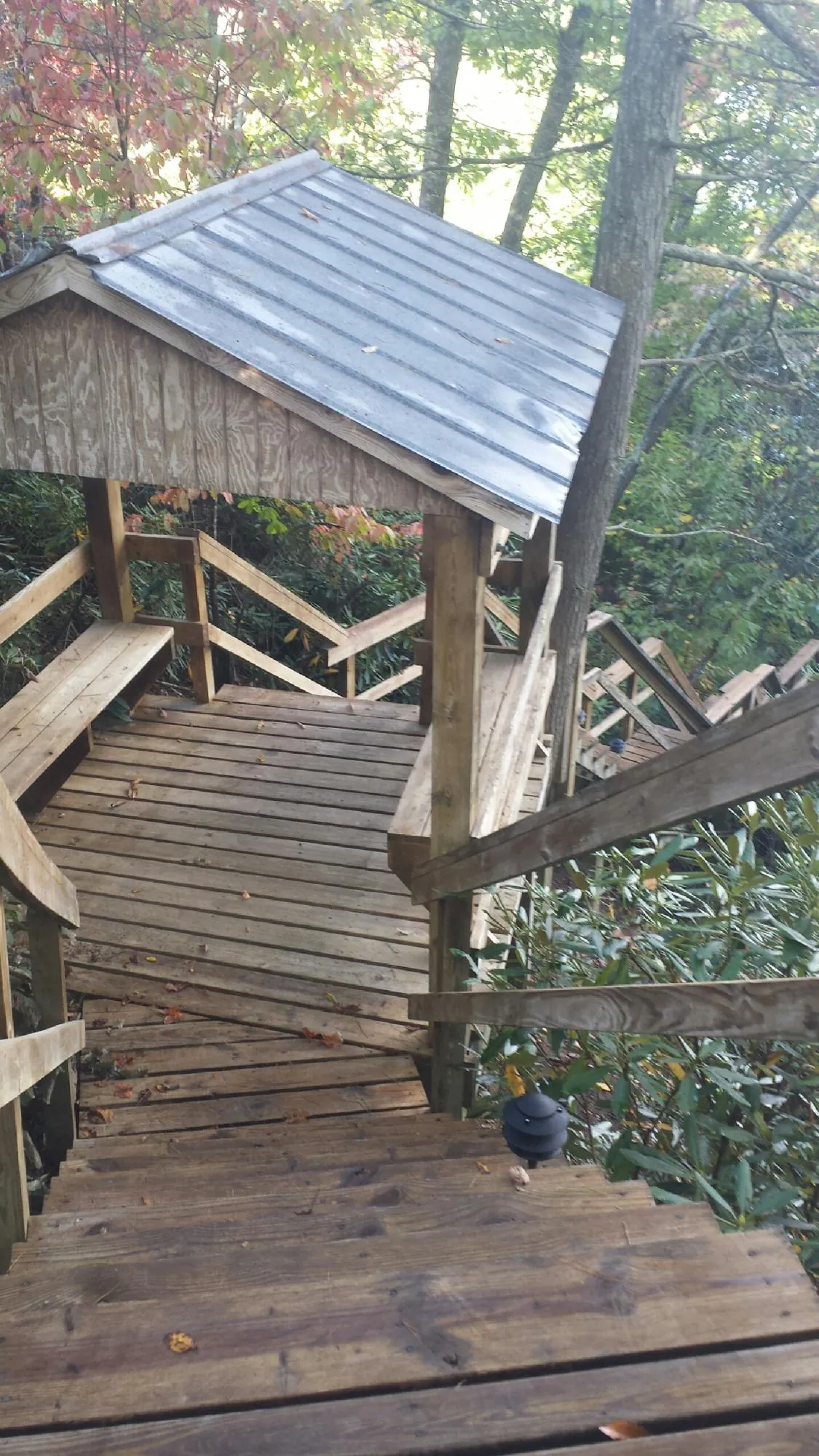 Metal roofed shelter over wooden steps on a wooded walkway — Skylight Repair & Installation work by our crew in Wattsburg
